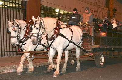 Rahway Tree Lighting 2014
