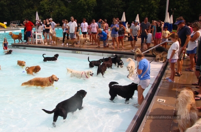 Cranford Pooch Plunge 2023
