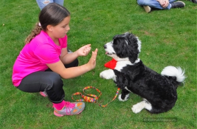 Summit PAL Pet Show 2018