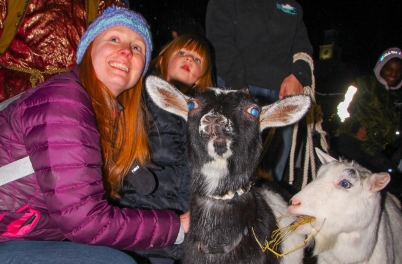 Union Tree Lighting 2021