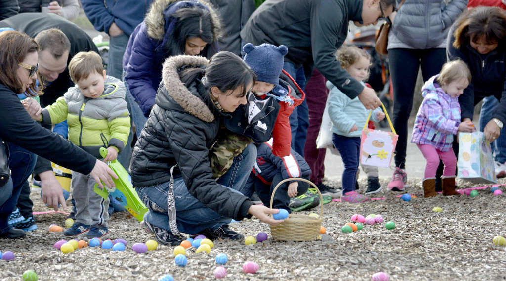 (above) With some help from the adults, the under-2 group of youngsters go for the prize eggs.