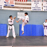 Adult Flying Karate Kick