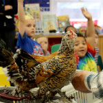 Chicks.PHOTO#5.Ruby