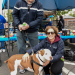 Summitfair2016-3