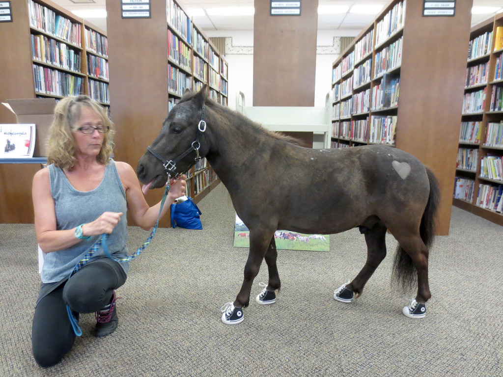 (above) Michelangelo The Miniature Horse visited the Library to kick off the 2016 Summer Reading Club. Maureen Coultas owner of Hopes Promise Farm located in Chester New Jersey visited with one of her miniature horses who is also a therapy horse. This program was funded by The Friends Of The Kenilworth Public Library.