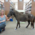 Kenilworth Library