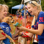 Adoption Tent