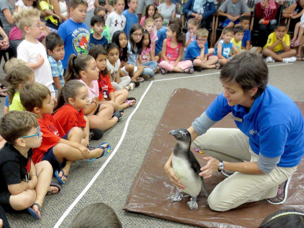 (above) Simon the penguin visited the Library. This program was funded by a Clean Communities Grant given to the Borough of Kenilworth.