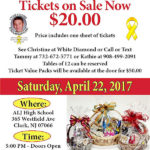 Tyler Collins Fundraiser