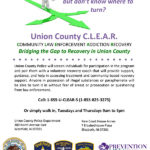 Microsoft Word – CLEAR one pager alt (1).docx