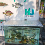 RennaMediaSept2017-27