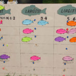 RennaMediaSept2017-37