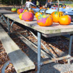 BerkeleyHeightsHarvestFestival2017-17