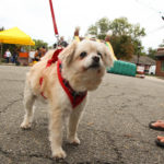 MillingtonFest2017-12