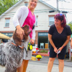 MillingtonFest2017-24