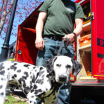 LongHillStirlingStreetFair2018-22