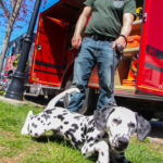 LongHillStirlingStreetFair2018-23