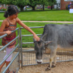 KenilworthStreetFair2018-10