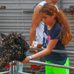 KenilworthStreetFair2018-11