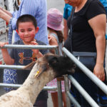 KenilworthStreetFair2018-12