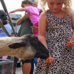 KenilworthStreetFair2018-13