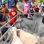 KenilworthStreetFair2018-14