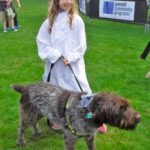 SummitPetShow2018-12