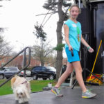 SummitPetShow2018-16