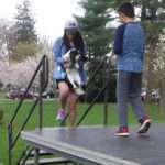 SummitPetShow2018-17