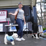 SummitPetShow2018-18