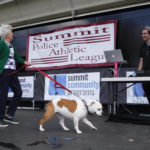 SummitPetShow2018-22