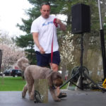 SummitPetShow2018-25