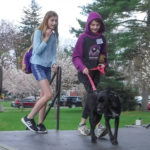 SummitPetShow2018-26