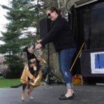 SummitPetShow2018-28