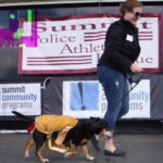 SummitPetShow2018-29