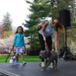 SummitPetShow2018-35