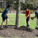 FAN 4 Mulching