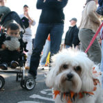 CranfordHalloweenParade2007-33