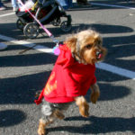 CranfordHalloweenParade2007-4