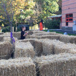 Fall Harvest 2