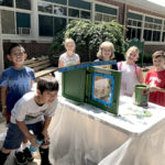 Little Free Library