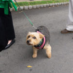 ScotchPlainsDay2018-19