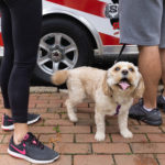 ScotchPlainsDay2018-26