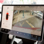 ScotchPlainsDay2018-4