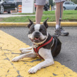 ScotchPlainsDay2018-43