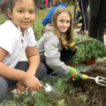 Two Girl Scouts Planting Flowers