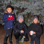 KenilworthTreeLighting2018-19