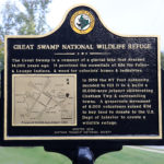 GSNWR Marker – Proposed Runways