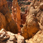 GrandCanyon2019-135
