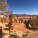 GrandCanyon2019-138